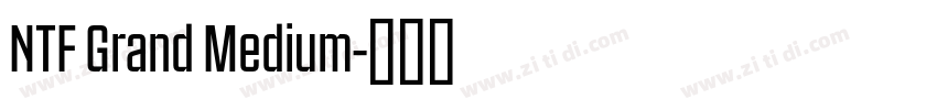 NTF Grand Medium字体转换